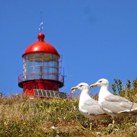 Best Houses 22- Great Location In Baleal! Peniche Kültér fotó